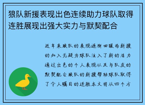 狼队新援表现出色连续助力球队取得连胜展现出强大实力与默契配合